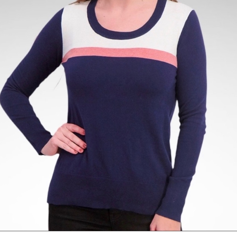 GAP Navy & Pink Stripe Sweater